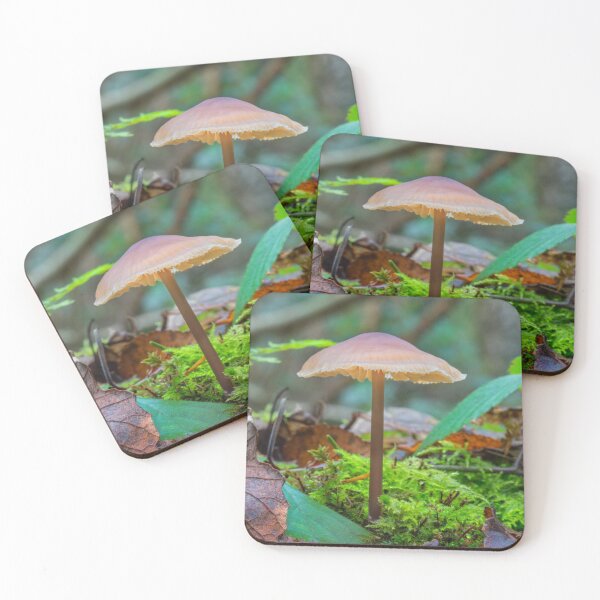Item preview, Slender Fungi designed and sold by Dave Hare Photography.