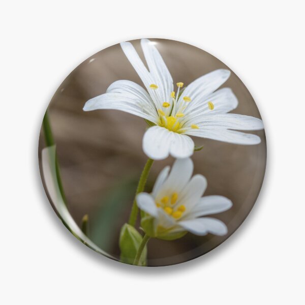 Item preview, Greater Chickweed - White Flower designed and sold by marcrolandscape.