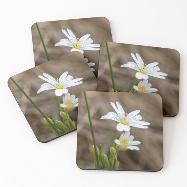 Item preview, Greater Chickweed - White Flower designed and sold by marcrolandscape.