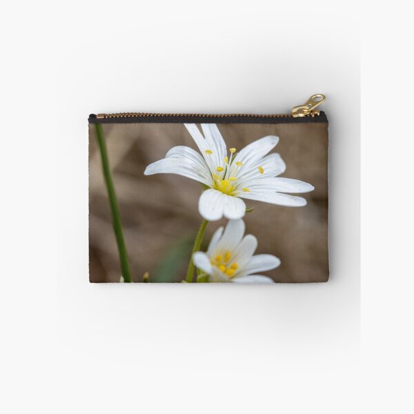 Item preview, Greater Chickweed - White Flower designed and sold by marcrolandscape.