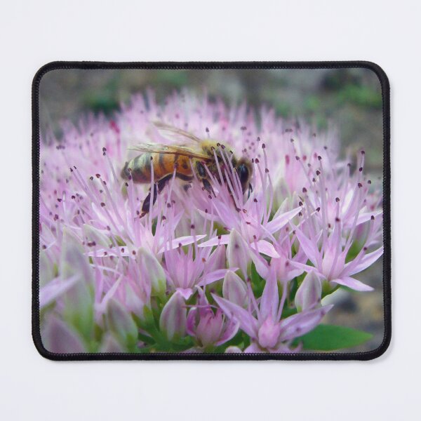 Item preview, Honey Bee designed and sold by Frankie Cat Photography.