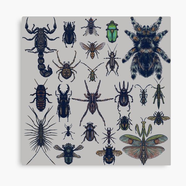Item preview, Pastel Insectarium (no background) designed and sold by Greydn.