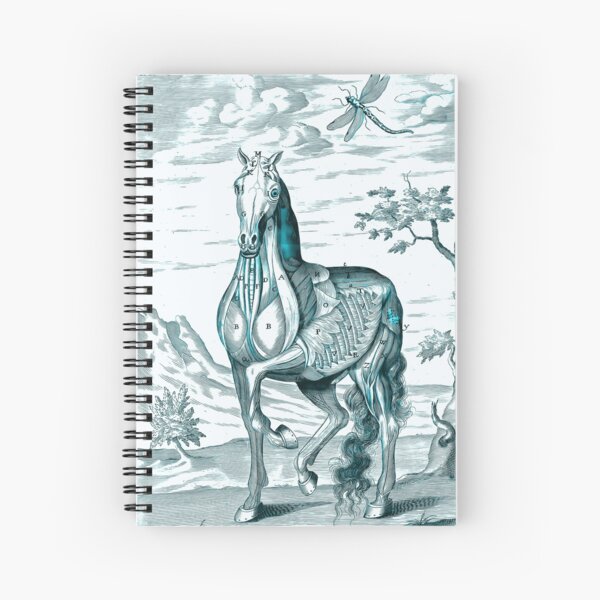 Item preview, Horse Anatomy designed and sold by notsweettea.