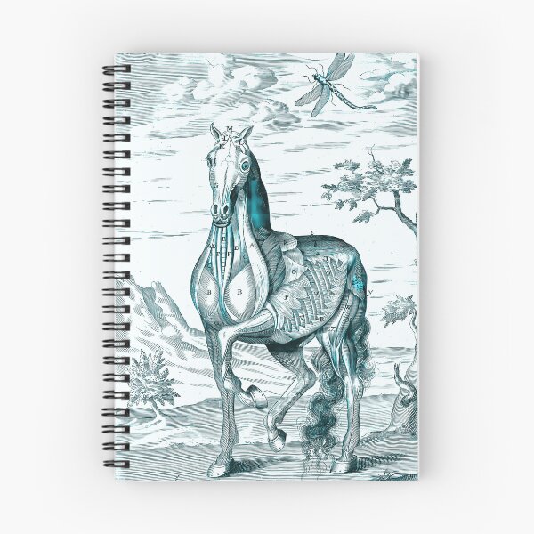 Item preview, Horse Anatomy designed and sold by notsweettea.