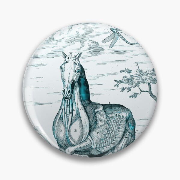 Item preview, Horse Anatomy designed and sold by notsweettea.