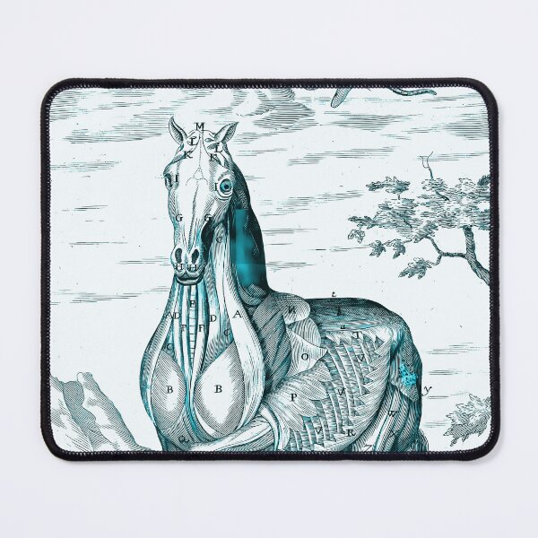 Item preview, Horse Anatomy designed and sold by notsweettea.