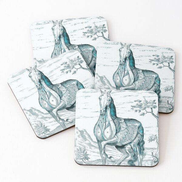 Item preview, Horse Anatomy designed and sold by notsweettea.