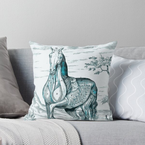 Item preview, Horse Anatomy designed and sold by notsweettea.