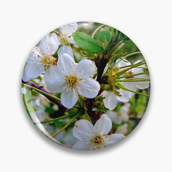 Item preview, cherry blossoms designed and sold by IgorKovalenko.