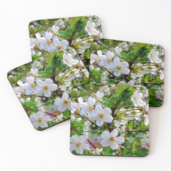 Item preview, cherry blossoms designed and sold by IgorKovalenko.