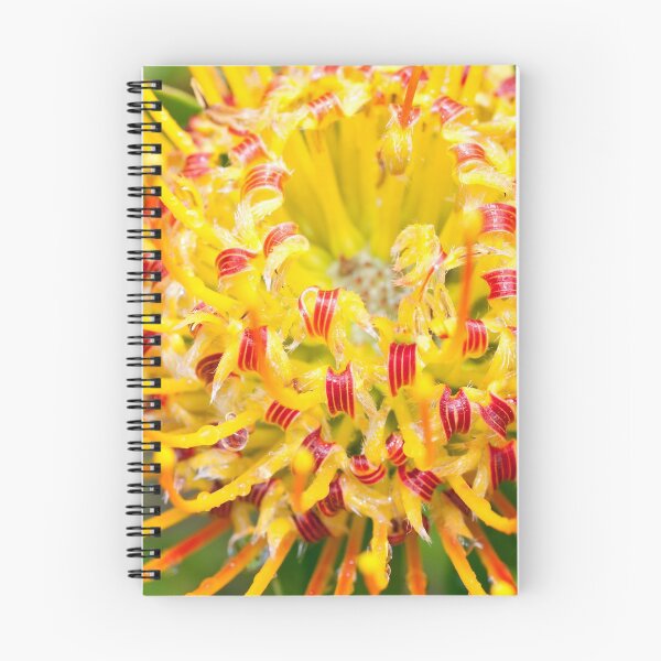 Item preview, Yellow Leucospermum designed and sold by SusanAdey.