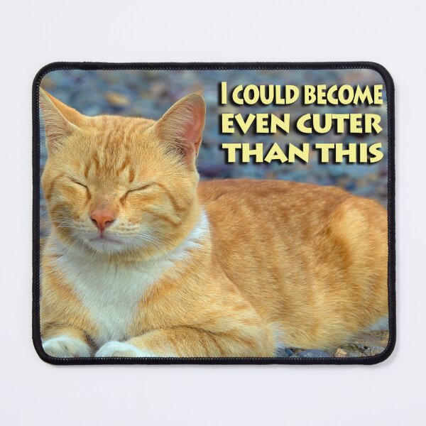 Item preview, A cat's life designed and sold by likbatonboot.