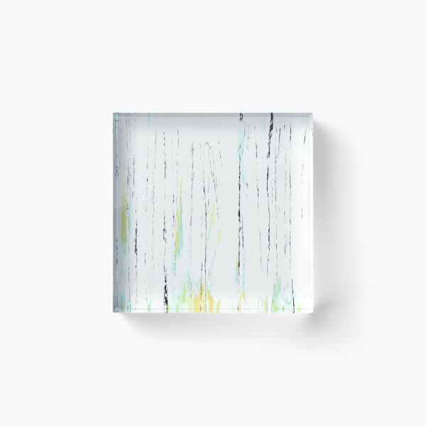 Birch. Acrylic Block