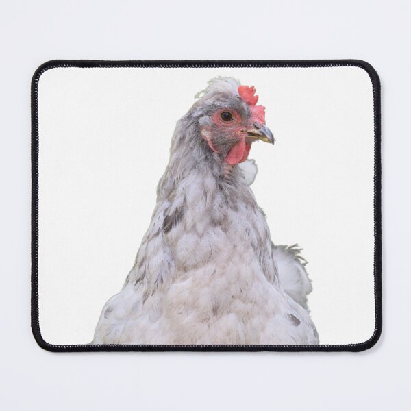 Item preview, White Hen Close Up designed and sold by Louise-Mae.