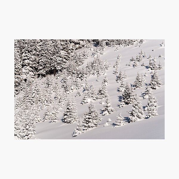 Abstract Photographic Print
