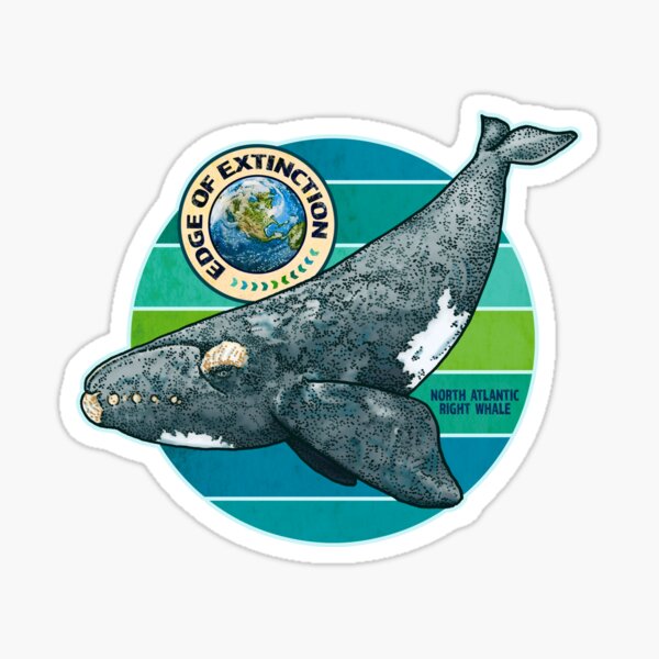 Item preview, EDGE OF EXTINCTION North Atlantic Right Whale designed and sold by rorabeenie.
