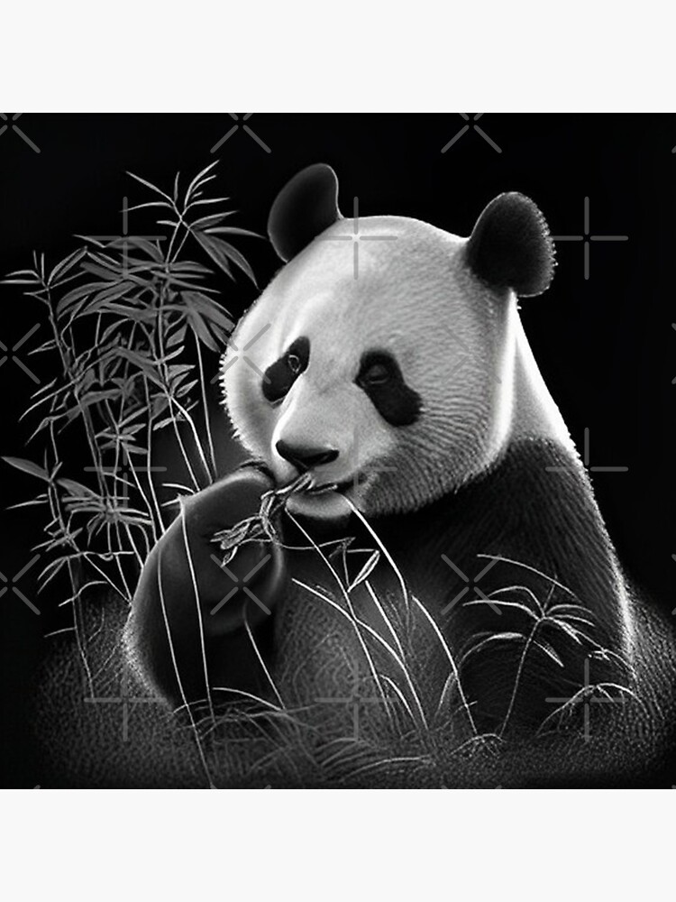 Pencil Drawing of a Cute Panda Bear