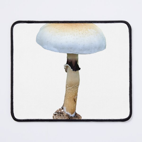 Item preview, wildtype Psilocybe cubensis  designed and sold by boletehunter.
