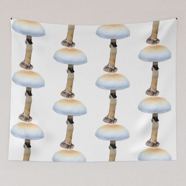 Item preview, wildtype Psilocybe cubensis  designed and sold by boletehunter.