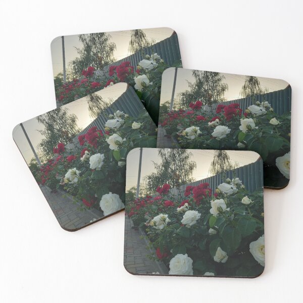 Item preview, Nature, rose designed and sold by alionakaluta.