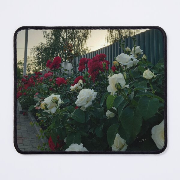 Item preview, Nature, rose designed and sold by alionakaluta.