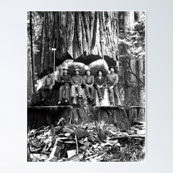 Item preview, Big Tree Lumberjacks c. 1888 designed and sold by Daniel Hagerman.