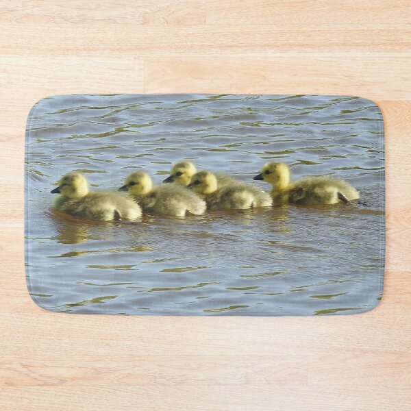 Item preview, Baby goslings, Canadian Geese, wildlife gifts designed and sold by Sandra O'Toole.