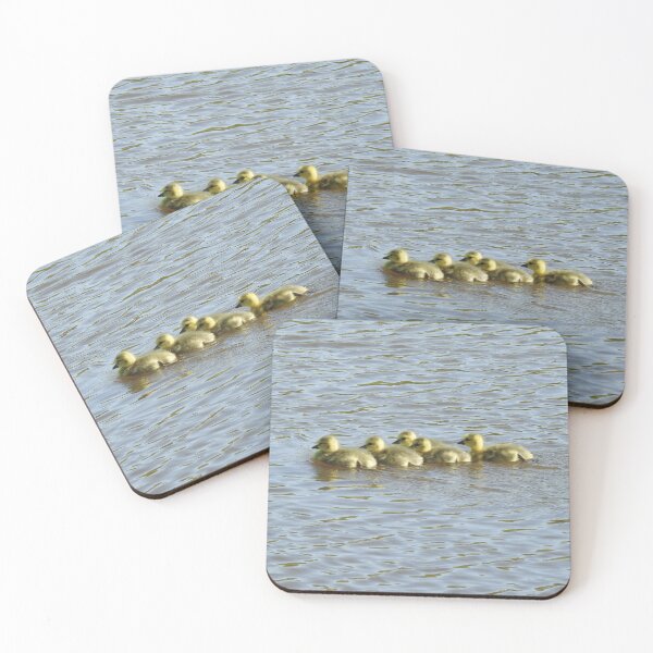 Item preview, Baby goslings, Canadian Geese, wildlife gifts designed and sold by Sandra O'Toole.