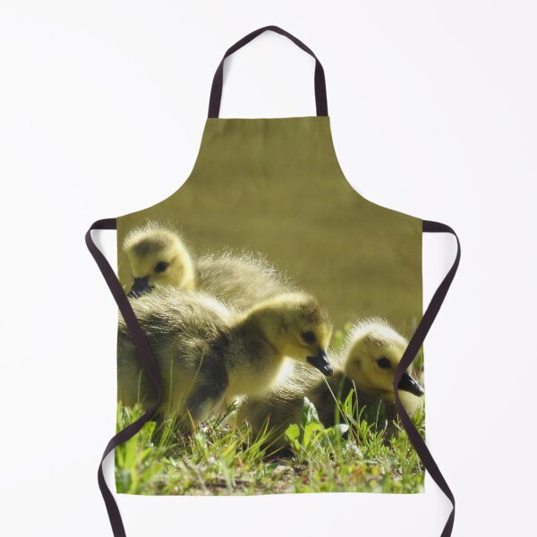 Item preview, Baby goslings, Canadian Geese, wildlife gifts designed and sold by Sandra O'Toole.