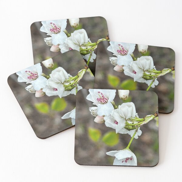 Item preview, Crabtree Blossoms designed and sold by jansilversides.