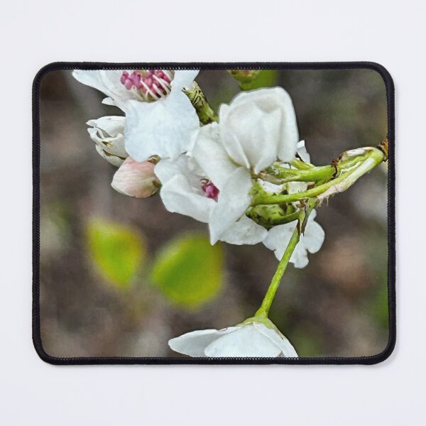 Item preview, Crabtree Blossoms designed and sold by jansilversides.