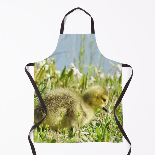 Item preview, Baby gosling, Canadian Geese, wildlife gifts designed and sold by Sandra O'Toole.