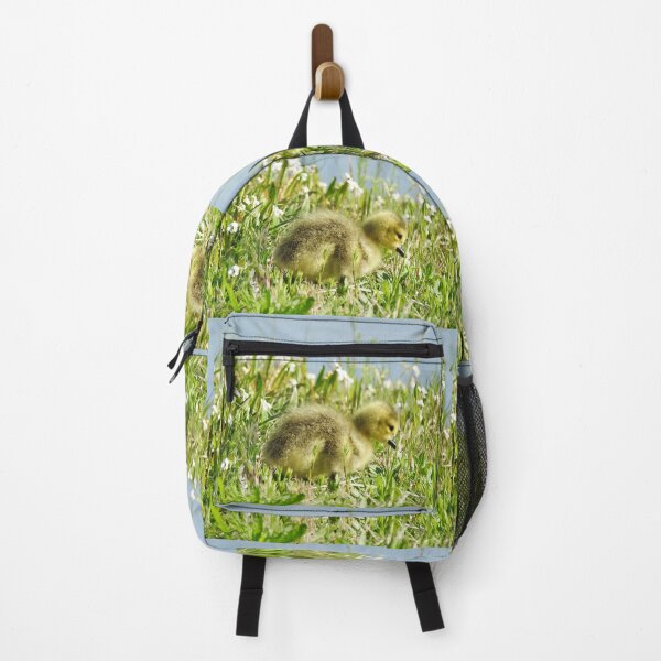 Item preview, Baby gosling, Canadian Geese, wildlife gifts designed and sold by Sandra O'Toole.