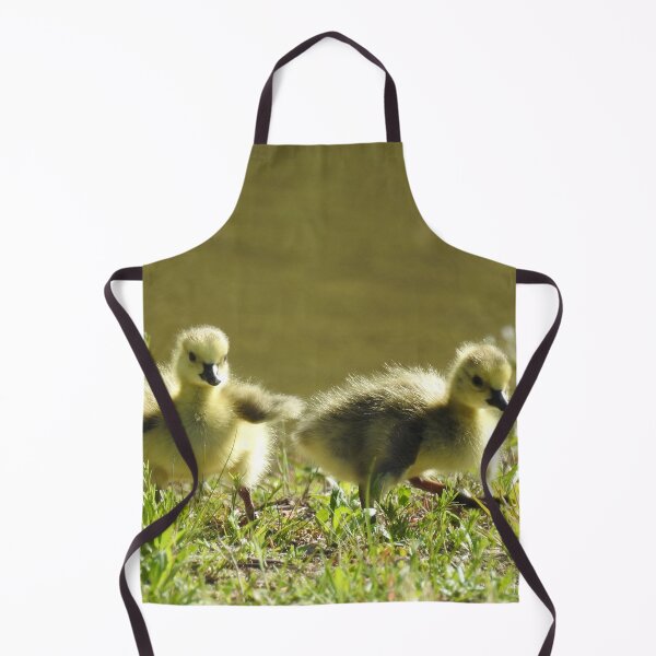 Item preview, Baby goslings, Canadian Geese, wildlife gifts designed and sold by Sandra O'Toole.