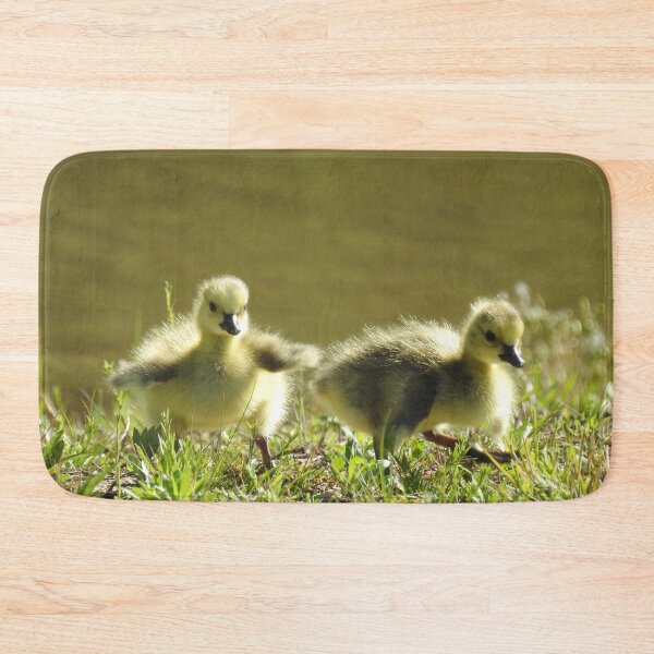 Item preview, Baby goslings, Canadian Geese, wildlife gifts designed and sold by Sandra O'Toole.