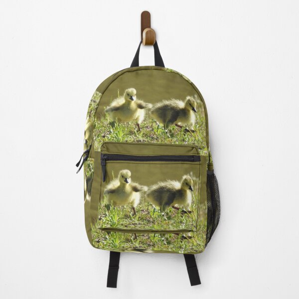 Item preview, Baby goslings, Canadian Geese, wildlife gifts designed and sold by Sandra O'Toole.