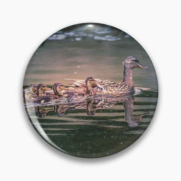 Item preview, Ducks in a Row designed and sold by May Finch.