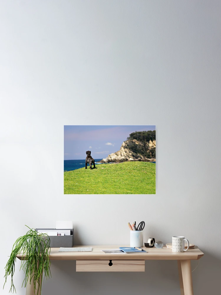 Thumbnail 2 of 3, Poster, Sentinel designed and sold by Stanton Hooley.