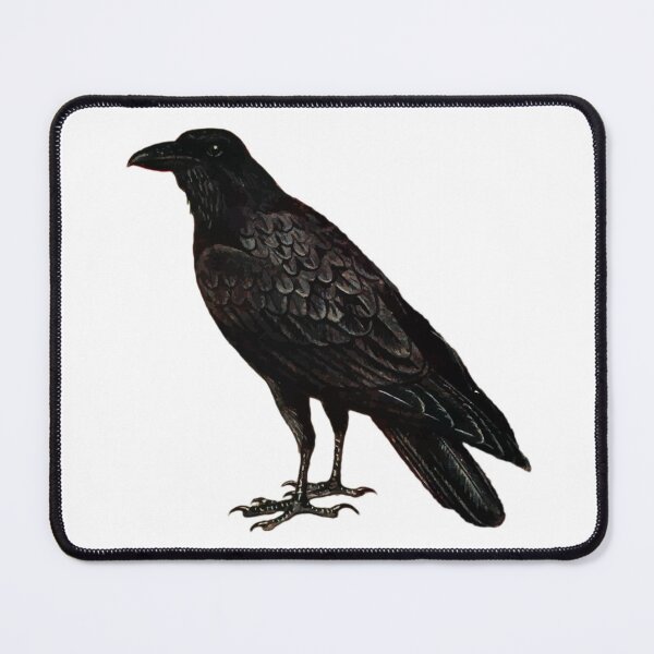 Item preview, Raven designed and sold by EcoscienceArt.