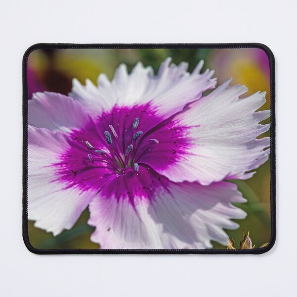 Item preview, Lovely Dianthus designed and sold by alanathrower.