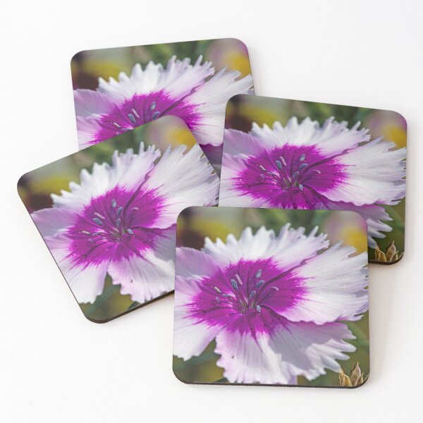 Item preview, Lovely Dianthus designed and sold by alanathrower.