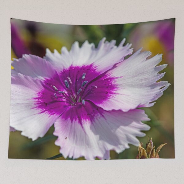 Item preview, Lovely Dianthus designed and sold by alanathrower.
