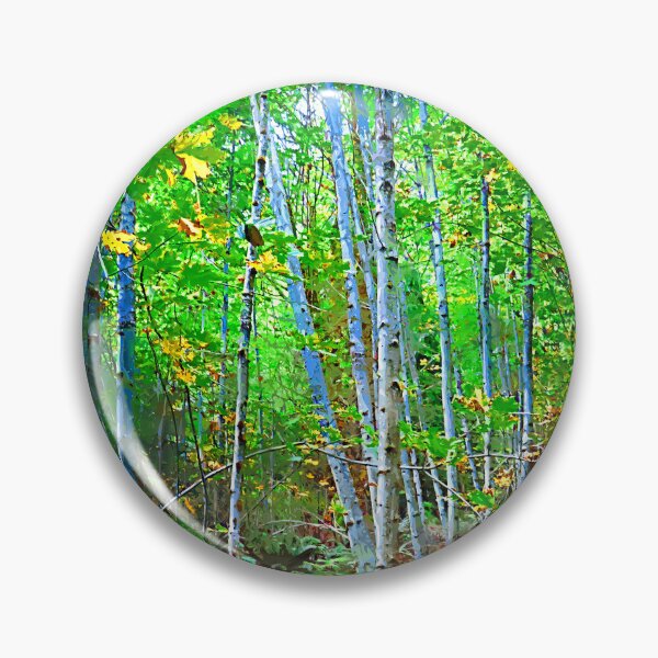 Item preview, A Stand Of Birch Trees designed and sold by KirtTisdale.