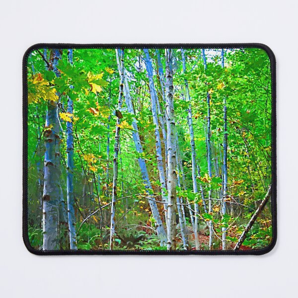 Item preview, A Stand Of Birch Trees designed and sold by KirtTisdale.
