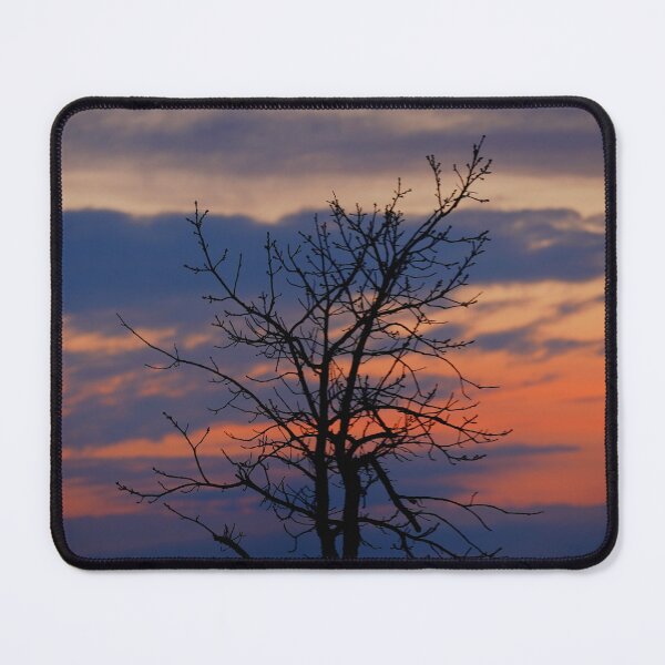 Item preview, Making a Stand - Earth Day 2023 designed and sold by fototaker Tony.