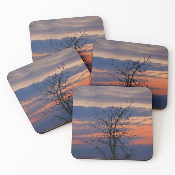 Item preview, Making a Stand - Earth Day 2023 designed and sold by fototaker Tony.