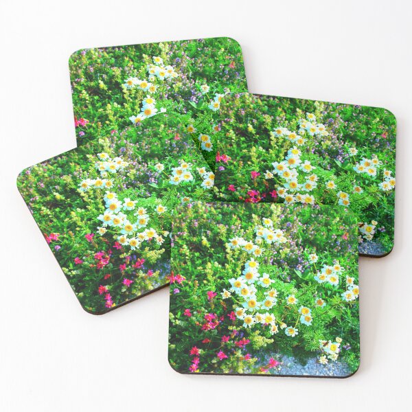 Item preview, View in Piani di Ragnolo at Anthemis Cretica and other flowers designed and sold by Kristina Drozd.