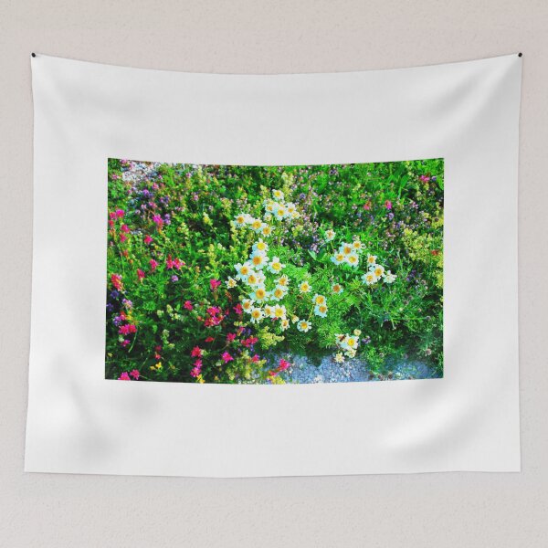 Item preview, View in Piani di Ragnolo at Anthemis Cretica and other flowers designed and sold by Kristina Drozd.