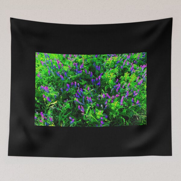 Item preview, Scenery in Piani di Ragnolo with blue fodder vetch designed and sold by Kristina Drozd.