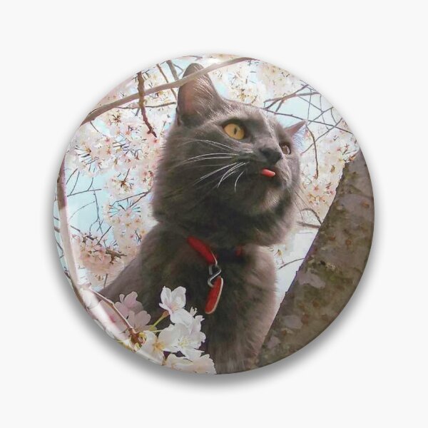 Artikelvorschau, Kätzchenkatze im Kirschbaum entworfen und verkauft von TrishAbyss.